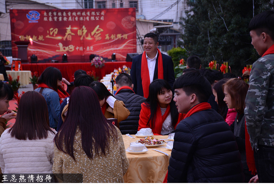 鼎盛国际年会