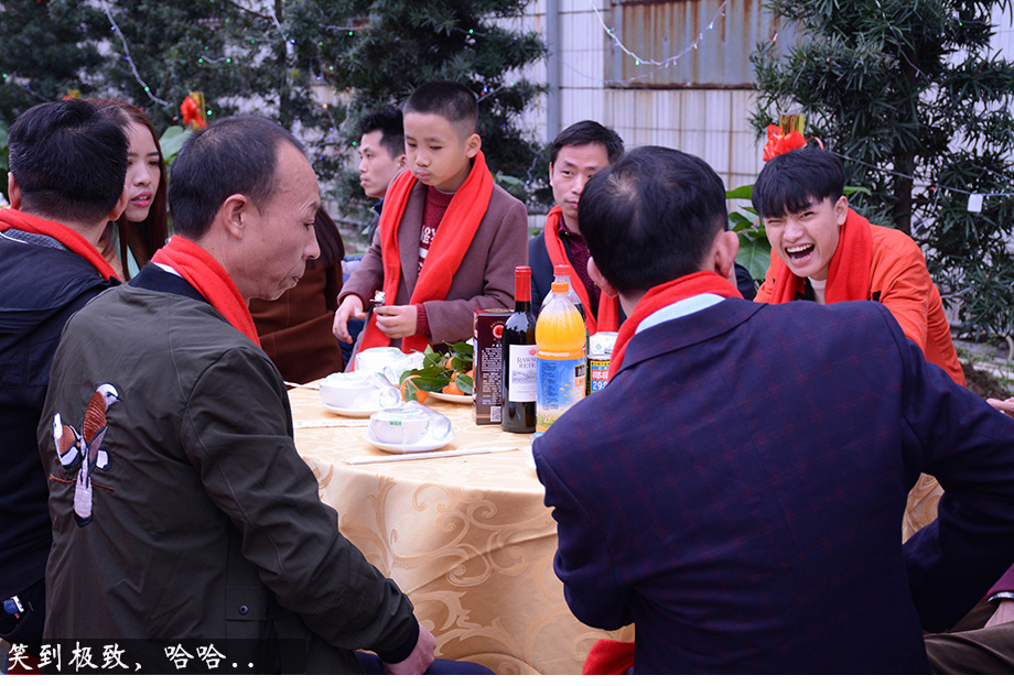 鼎盛国际(中国区) - 官方网站